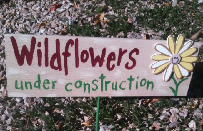wildflowers under construction