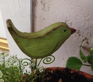 Bird. This one's pretty quiet.