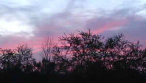 There's nothing like an Arizona sunset.