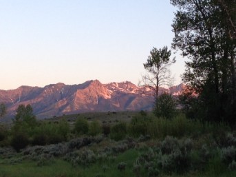 Yes, early rising required for a live viewing of such sights.