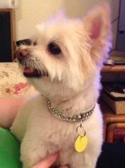 Smiling lovingly at her "mommy."