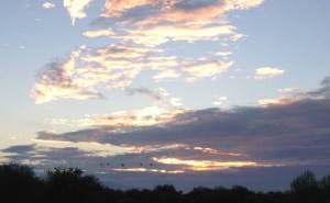 Who could be uncheered by a sunrise like this?