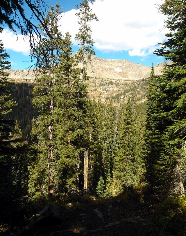 Photo by Kettie Olsen