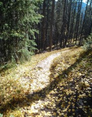 Photo by Kettie Olsen