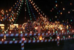 By Dough4872 (Own work) [Public domain], via Wikimedia Commons