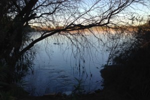What is it about a body of water that's so soothing?