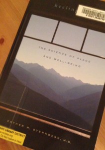 "Healing Spaces" the book